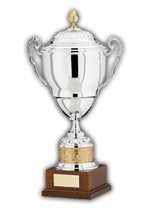 Award Image